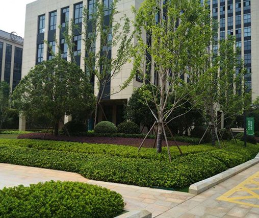 园林绿化公司,园林枯山水造景,假山仿真树