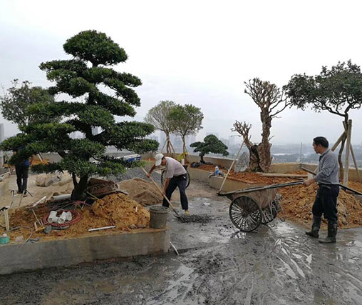 广昌便宜的园林景观设计价格