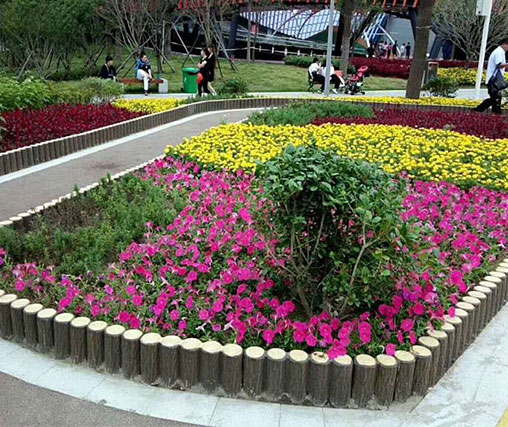 赣州仿古园林建筑中的植物花卉对水分有哪些不同的要求？